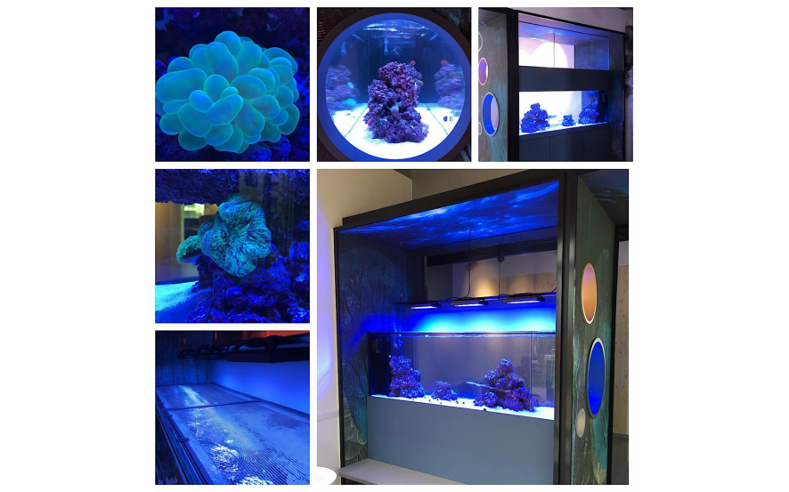 Kinderpraxis Neuhegi